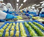 富士通為生鮮食品廠(chǎng)定制潔凈方案，助力食品廠(chǎng)美好環(huán)境建設(shè)